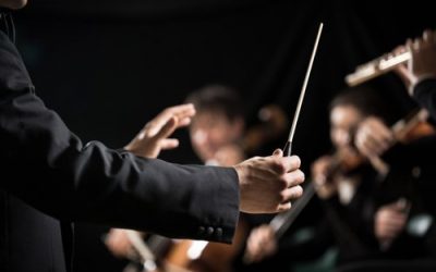 A Relocation Project Manager is like a Maestro